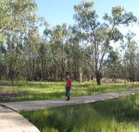 Ben Scott Memorial Bird Trail - Accommodation Tasmania