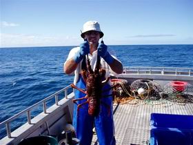 Lacepede Seafood - Accommodation Tasmania 2