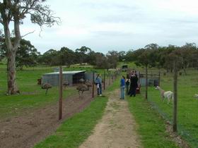 Avenue Range ACT Accommodation Tasmania