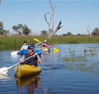 Marsh Meanders - Accommodation Tasmania
