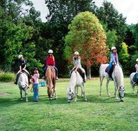Limestone Coast Horseriding - Accommodation Tasmania