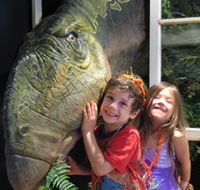 Australian Opal Centre - Accommodation Tasmania