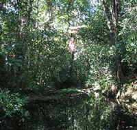 Wabunga Wayemba Charmillan Creek walking track - Accommodation Tasmania