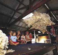 Shear Outback the Australian Shearers Hall of Fame - Accommodation Tasmania