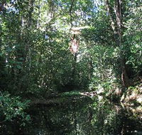 Misty Mountains Wilderness Walking Tracks - Accommodation Tasmania