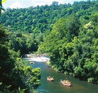 Tully Gorge National Park - Accommodation Tasmania