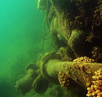 Wreck Diving at Magnetic Island - Accommodation Tasmania