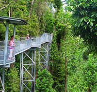 Mamu Tropical Skywalk - Accommodation Tasmania