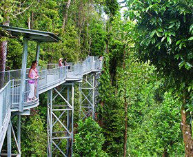 Mamu Tropical Skywalk - Accommodation Tasmania 0