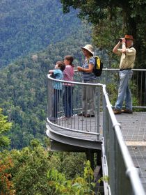 Mamu Tropical Skywalk - Accommodation Tasmania 2