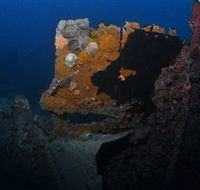 Lady Bowen Dive Site - Accommodation Tasmania