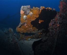 Lady Bowen Dive Site - Accommodation Tasmania 0