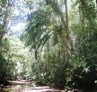 Mount Lewis National Park - Accommodation Tasmania