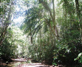 Mount Lewis National Park - Accommodation Tasmania 0