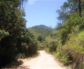 Mount Lewis National Park - Accommodation Tasmania 2