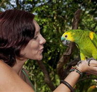 Birdworld Kuranda - Accommodation Tasmania
