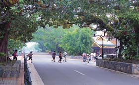 Kuranda - Village In The Rainforest - Accommodation Tasmania 1