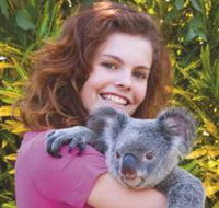 Kuranda Koala Gardens - Accommodation Tasmania