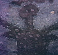 Quinkan Reserves Ancient Rock Art - Accommodation Tasmania