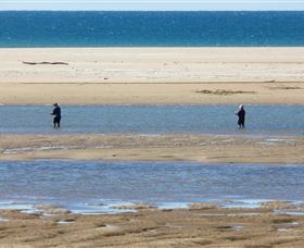 Alva Beach - Accommodation Tasmania 0
