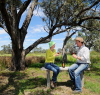 Restdown Wines and Walking Trail - Accommodation Tasmania