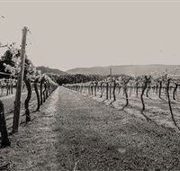 Halls Gap Estate - Accommodation Tasmania