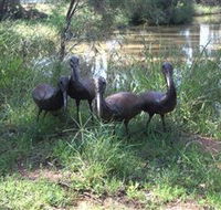 East Tolans Farm Tour - Accommodation Tasmania