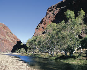 Coppin Gap - Accommodation Tasmania 0
