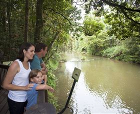 Platypus Viewing At Broken River - Accommodation Tasmania 1