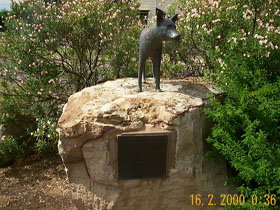 Dingo Statue - Accommodation Tasmania 0