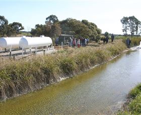 Cornalla Farm Tour - Accommodation Tasmania 0