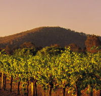 Taltarni Vineyards - Accommodation Tasmania