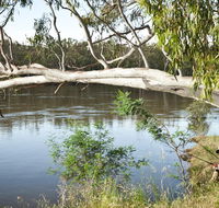Murray Valley National Park - Accommodation Tasmania