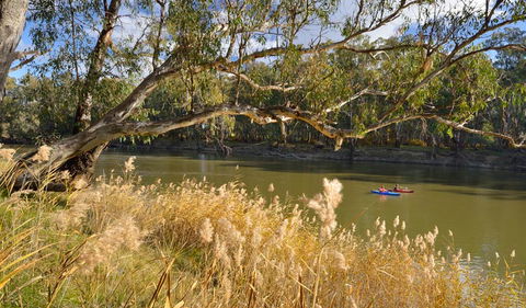 Murrumbidgee Valley National Park - Accommodation Tasmania 3