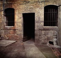 J Ward Museum - Accommodation Tasmania