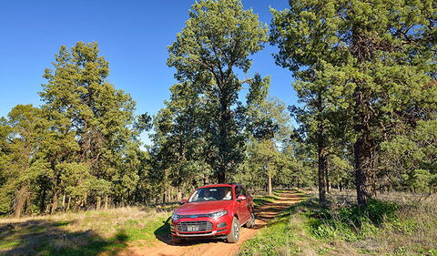Forest Drive - Accommodation Tasmania 0
