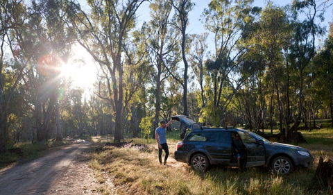 Forest Drive - Accommodation Tasmania 1