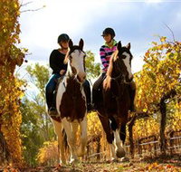 Billabong Ranch - Accommodation Tasmania