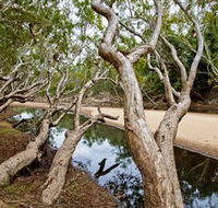 Oyala Thumotang National Park CYPAL - Accommodation Tasmania