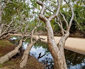 Oyala Thumotang National Park (CYPAL) - Accommodation Tasmania 0