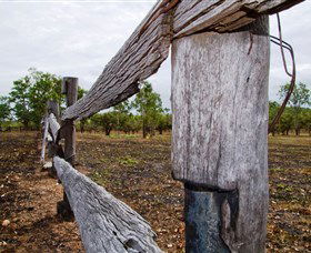 Oyala Thumotang National Park (CYPAL) - Accommodation Tasmania 1