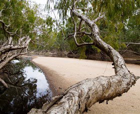 Oyala Thumotang National Park (CYPAL) - Accommodation Tasmania 3