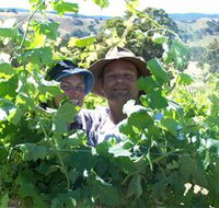 Wimmera Hills Winery - Accommodation Tasmania