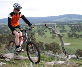 Wimmera Hills Winery - Accommodation Tasmania 2