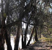 Mia Forest Drives Narrandera - Accommodation Tasmania