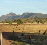 Emu Logic - Accommodation Tasmania