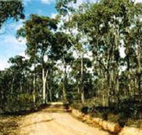 Paddys Ranges State Park - Accommodation Tasmania