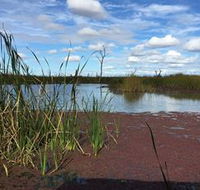 Gwydir Wetlands - Accommodation Tasmania