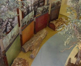 Barmah Forest Heritage And Education Centre - Accommodation Tasmania 4