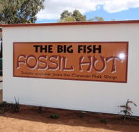 Big Fish Fossil Hut at Peak Hill - Accommodation Tasmania